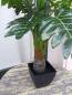 Preview: Künstliche Pflanze Monstera Sellum ca. 80cm