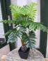 Preview: Künstliche Pflanze Monstera Sellum ca. 80cm