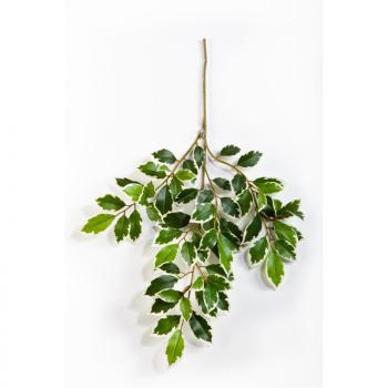 Künstlicher Ficus Foliazweig, grün-weiße Blätter - Top-Qualität