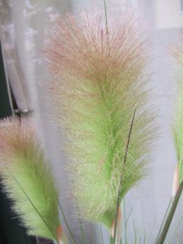 Künstliches Gras ca. 1,20m hellgrüne Blüten filigran