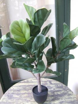 Ficus Lyrata Blätter Real Touch 75cm