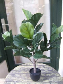 Ficus Lyrata Blätter Real Touch 75cm