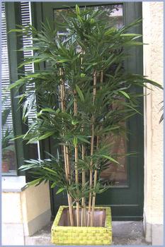 New Bambus 1,50m Naturbambusstangen Top- Qualität