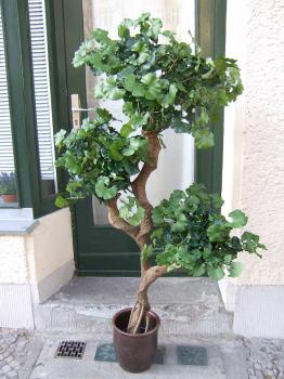 Künstlicher Ginkgobaum, 1,60m " on Crazy Trunc"