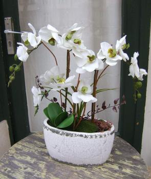 Künstliche Orchidee, weißliche Blüten, Keramikgefäß