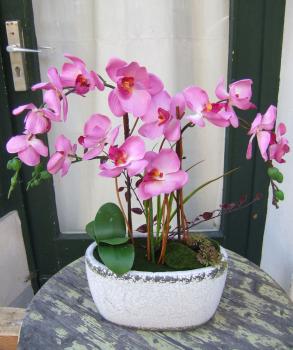 Künstliche Orchidee mit rosafarbenen Blüten im schweren Keramikgefäß Premium Qualität