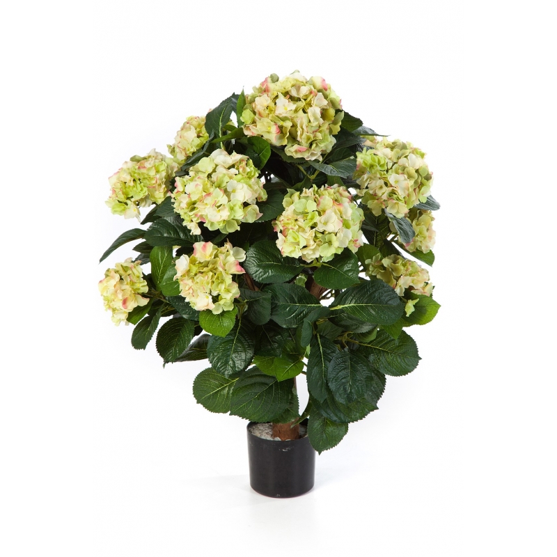 Licht & Grün - im Künstliche Qualität cremefarbene Blüten Premium- in MAXI Topf Hortensie