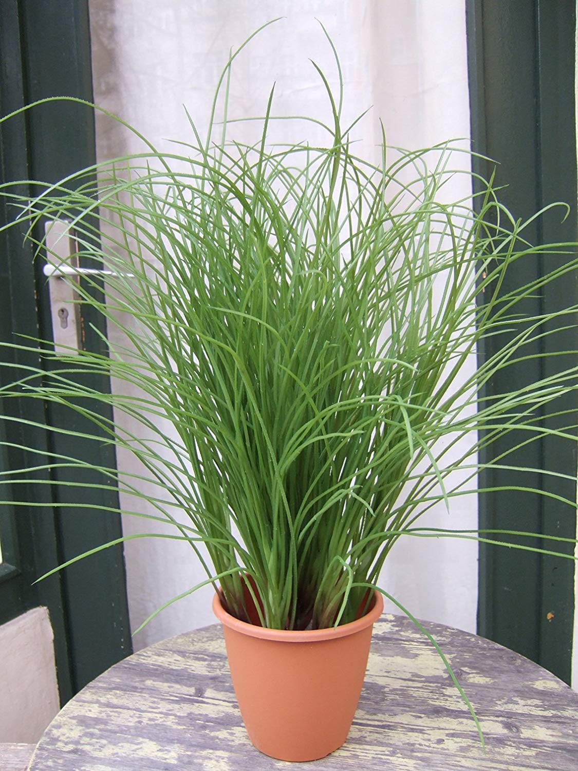 Licht & Grün - Künstliches helles und fülliges Gras ca. 70cm hoch im Topf  in Top-Qualität