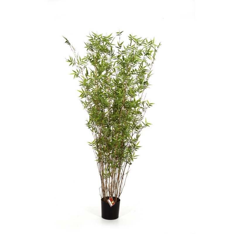 Oriental Bambus Neu im Angebot 2400Bltter natrliche Bambusstangen 1,60m