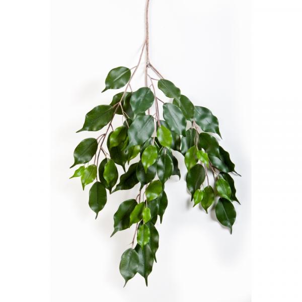 Künstlicher Ficus Exotica Zweig Top - Qualität