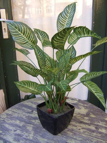 Künstliche Aphelandra Pflanze getopft ca. 60cm