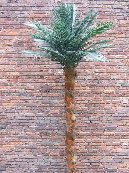 Künstliche Palme, ca. 2,80m-3m geschützter Aussenbereich