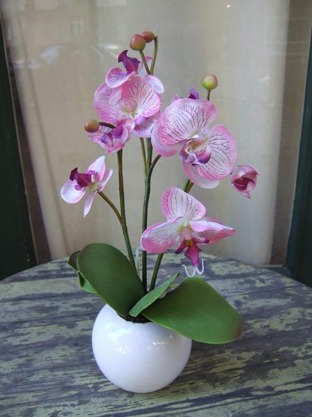 Orchidee mit roten Knospen