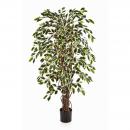 Künstlicher Ficus de luxe 1,50m Liana grün- weiße Blätter Top-Qualität